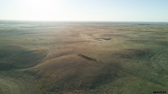 ranch-potholes-cattle